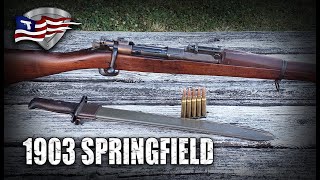 The 1903 Springfield Rifle  History and Features [upl. by Corrine]