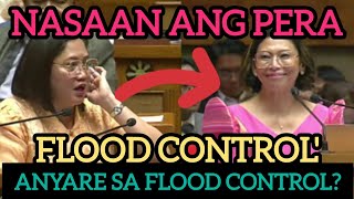 FLOOD CONTROL NI BBM BINIRA NI ARLENE BROSAS QUIMBO TAMEME NA [upl. by Meensat]