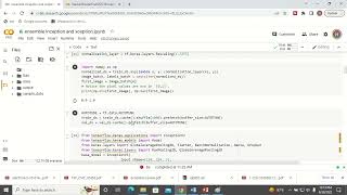 Python Code for Ensemble Model for Image Classification [upl. by Aivata]