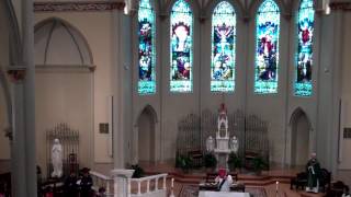 Gospel Acclamation for the 17th Sunday in Ordinary Time [upl. by Biddie]