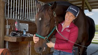 Jaw and Neck Tension Released Horse Massage [upl. by Catie828]