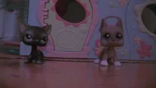 LPS Vampire School Season2 The Story of Tanya Episode2 The Werewolves [upl. by Murat548]