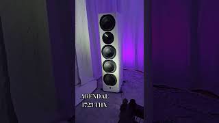 ARENDAL 1723 THX Tower Speakers hifi homeaudio music [upl. by Eninnaj]