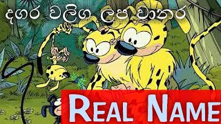 dagara waliga real name  dagara waliga lapa wanara English name  sinhala cartoon real name [upl. by Aggarwal46]