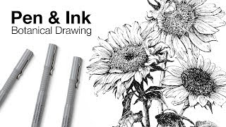 Pen and Ink Botanical Drawing [upl. by Norha]