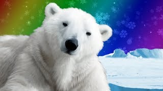 Polar Bears for Kids  Wild Animals  Arctic Animals [upl. by Fording]