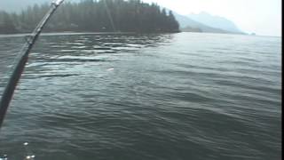 Alaska Salmon Shark Fishing Part 1 [upl. by Hugibert]