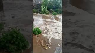 💯🌧️Pani khudri Aadivasi video Anil piplaj 🙋 [upl. by Eirek]