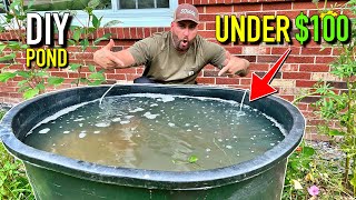 DIY Garden Pond for Under 100 Stock Tank Pond [upl. by Schild960]