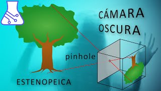 Cámara Oscura Experimentos y Explicación [upl. by Gonick]