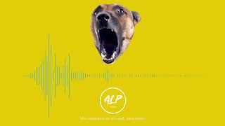 SONIDO PERRO BRAVO LADRANDO  EFECTO DE SONIDO  ALPsounds  BARKING DOG [upl. by Nivrac]