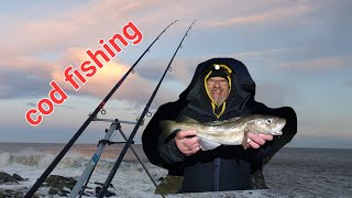 North east COD fishing for BIG WINTER COD fishing cod codfishing [upl. by Flin]