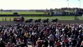 The Budweiser Clydesdales celebrate Keenelands 75th Anniversary [upl. by Eiloj]