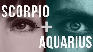 Scorpio amp Aquarius Sun Love Compatibility [upl. by Hiro842]