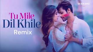 Tum Mile Dil KhileremixSiyanoRaj Barman [upl. by Sesilu]