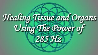 285 Hz Pure Tone Solfeggio Frequency – Amazing Healing Tissue and Organs [upl. by Leesen129]