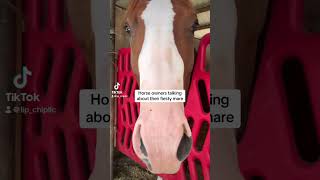 Icon AND A Legend LipChip horse mare funnyvideo meme equestrian farm technology [upl. by Sherm]