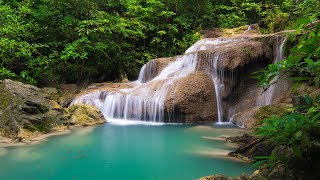 Peaceful Waterfall Sounds  Healing Sounds Of Nature  7 Hours for Deep Sleep Relaxation [upl. by Pasia]