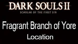 Fragrant Branch of Yore Location  Dark Souls 2 Scholar of the First Sin [upl. by Emsmus]