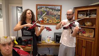 Tornado of Souls Viper Electric Violin Cover [upl. by Cris]