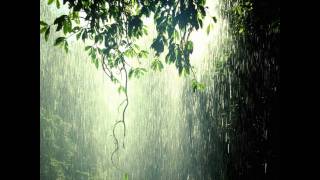 Rain Forest  Nature Sounds [upl. by Haeli]