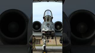 Why the A10 is a Flying TANK [upl. by Astred367]