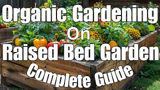 Organic Gardening in Raised Bed A Complete Guide to Growing ChemicalFree Vegetables [upl. by Sucam]