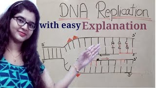 DNA replication in hindi Helicase  leading strand  Lagging strand  Okazaki fragments [upl. by Lawan]