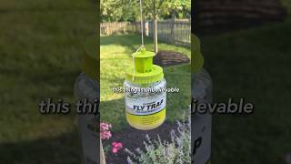 DIY Fly Trap that Actually Works shorts [upl. by Rebe]