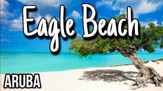 Easy Travel Guide  Eagle Beach  Aruba [upl. by Linders]