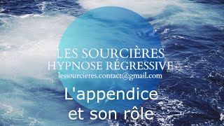 Hypnose régressive  49 Enquête Lappendice et son utilité [upl. by Long]