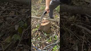 Chopping Wood With Off Grid Alpha Dog bushcraftknives [upl. by Ymereg]