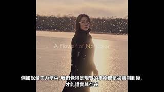 宇多田光《沒有顏色的花》給台灣粉絲的問候 [upl. by Nolham]