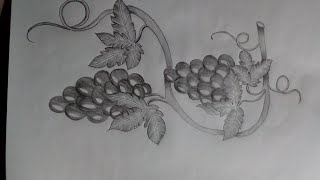 How to draw grapes with pencil  muskan drawing amp art [upl. by Edmund716]