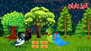 Tez Baran  Pashto Moral Story  Birds Cartoon [upl. by Lee]