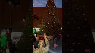 Savannah Ga Christmas Tree Lighting [upl. by Trilly]