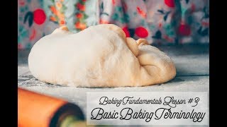 BASIC BAKING TERMINOLOGY  folding proofing ferment scoring and more [upl. by Attiuqahs507]