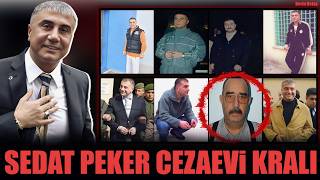 Sedat Peker Cezaevi Kralı  Peker ve Veli Küçük Arasında GERÇEKTE Ne Oldu [upl. by Etienne]