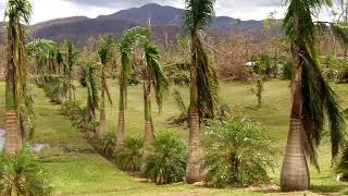 Cyclone Yasi aftermath  Bilyana [upl. by Runkel]