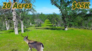 Acreage For Sale In California  Affordable Cheap Land Build Hunt or Getaway [upl. by Leehar]