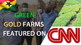 Video Ghanaian Agritech firm Green Gold Farms featured on CNN [upl. by Silin783]