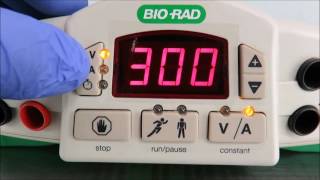 BioRad PowerPac Basic 300v400ma75w [upl. by Herates]