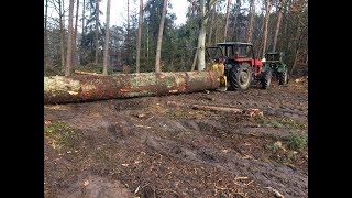 Zrywka kolosa  Próba sił U914 i C360  Okiem ZULa [upl. by Pippo]