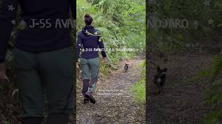 🏔️J55 KILIMANDJARO🏔️ Pourquoi je fais ça ⁉️ training trek cancerdusein [upl. by Atselec]