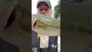 Big Bass On A Maribou Jig bassfishing hardlifesbaitandtackle bass fishing bassfishingismylife [upl. by Dorahs]