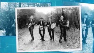 The Hurricane Strings  Venus 1963 [upl. by Llerrehc605]