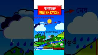 The Water Cycle  জলচক্র  School Project water cycle  Hydrological Cycle  Water Cycle Animation [upl. by Ytissahc]