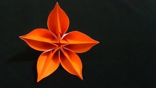 Cara Membuat Origami Bunga Carambola  Origami Bunga dan Tanaman [upl. by Barbabra603]