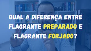 Qual a diferença entre flagrante preparado e flagrante forjado [upl. by Rosene]