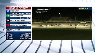 Flamboro Downs Live Stream 10192024 [upl. by Aciret553]